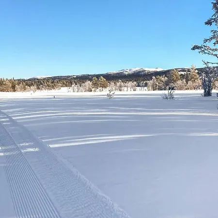 Cozy In Gol With Sauna 別荘 *