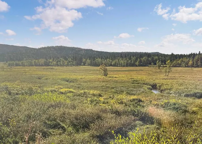 Cozy In Gol With Sauna Vakantiehuis